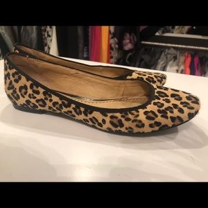 Leopard Calfhair ballet flats